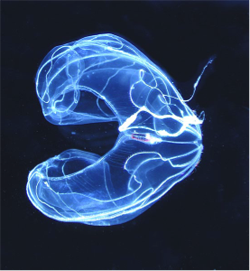mh_science_logo 